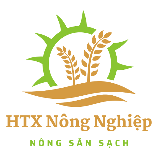 Nông sản sạch – Khuyến Nông An Giang